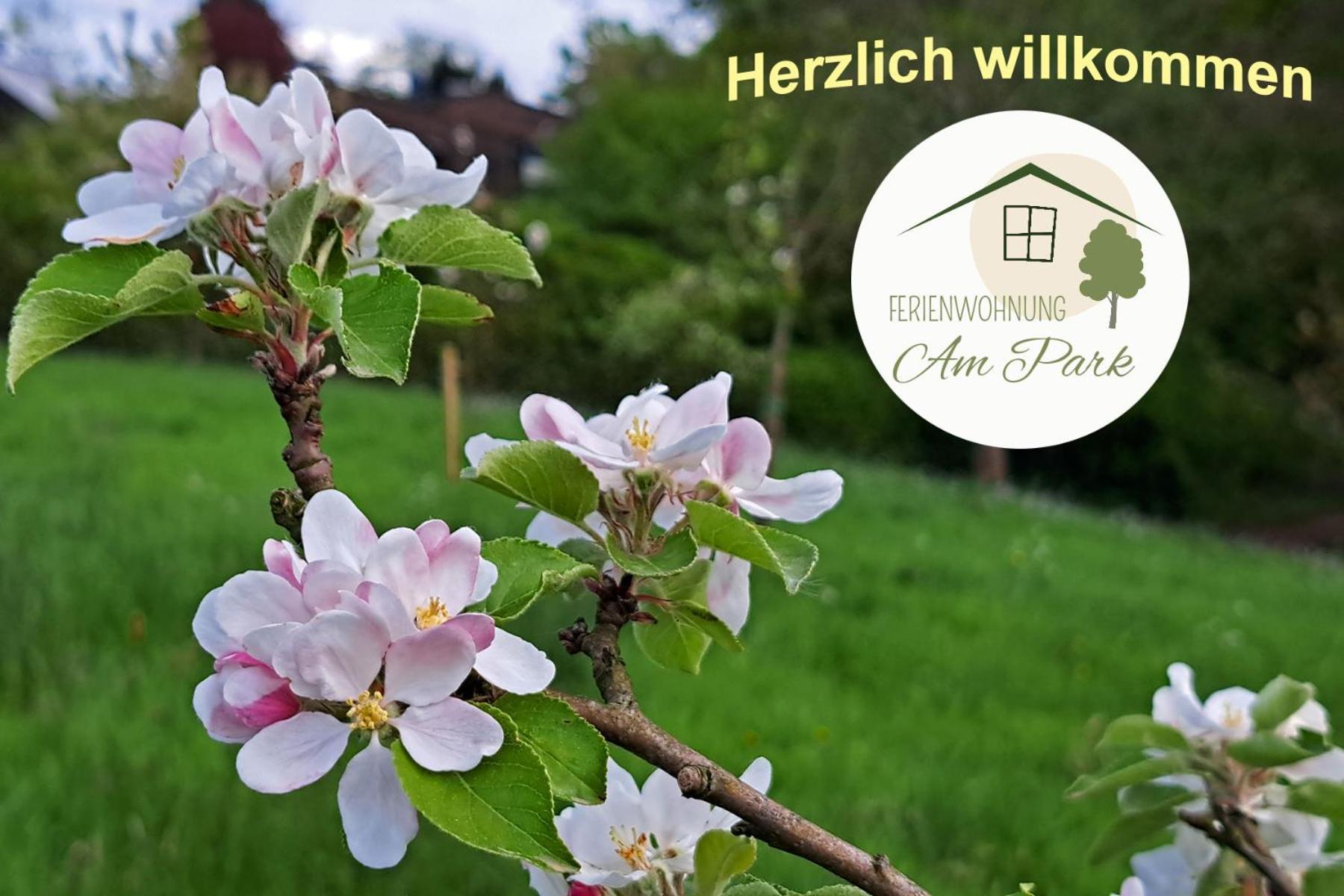 Grosszuegige Wohnung Am Comberg-Park Mettmann Exterior foto